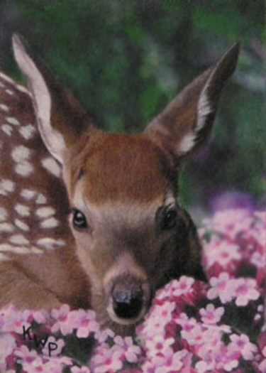 Fawn in Pink